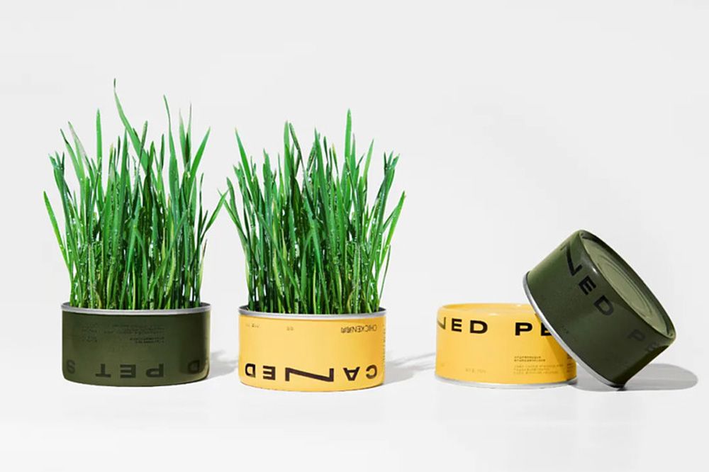 1759115877731581.jpg 猫草04.jpg